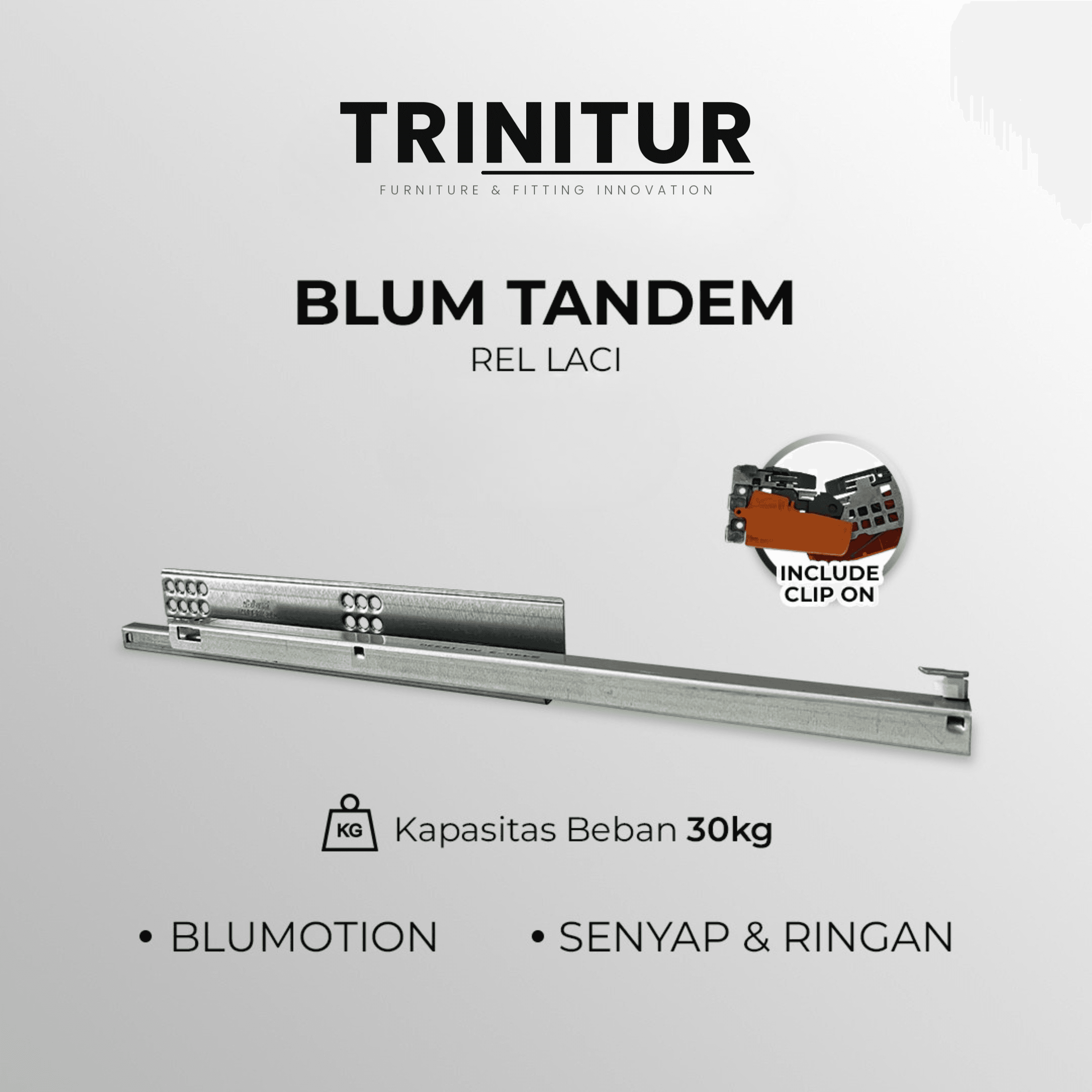 Blum Tandem Rel Laci