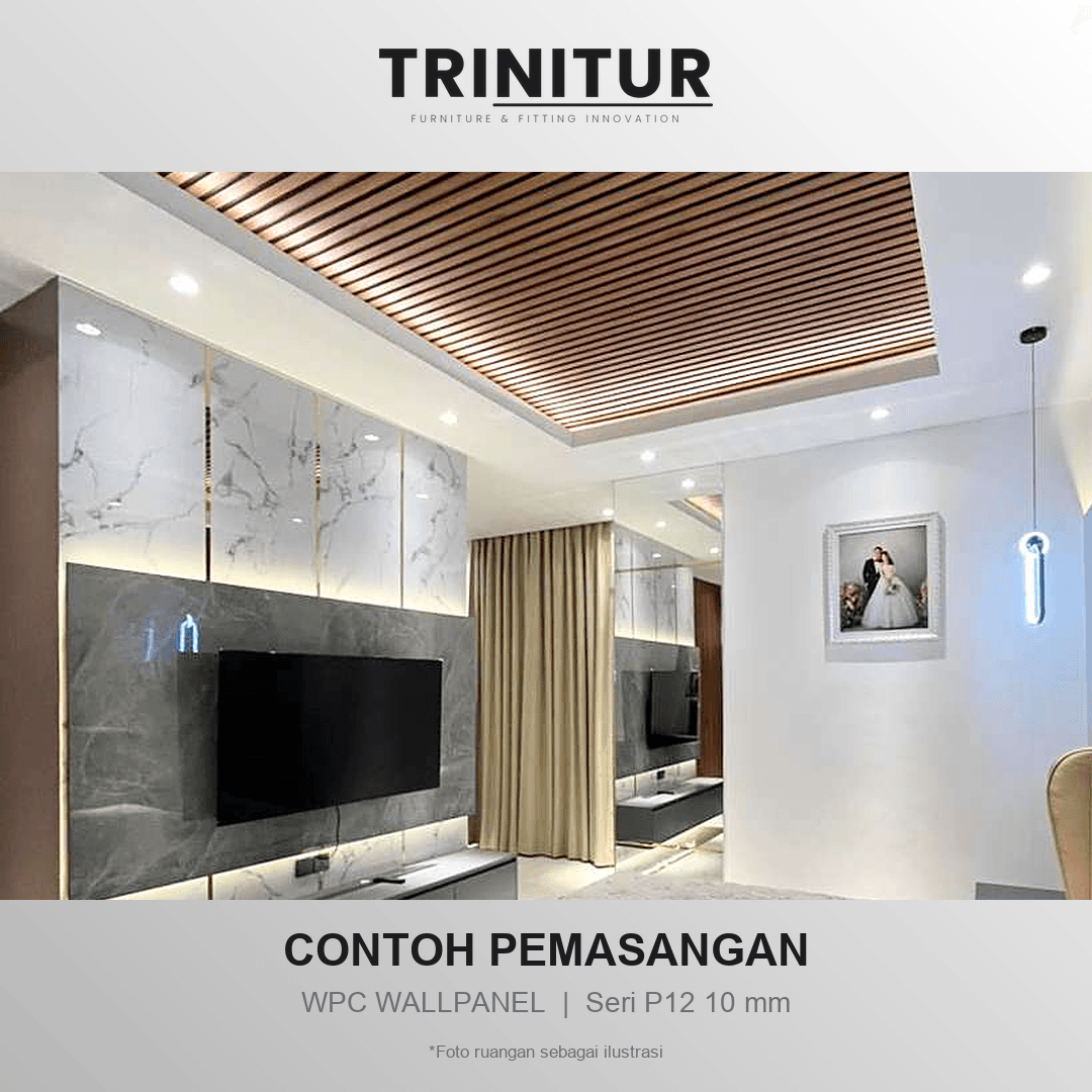 WPC Wallpanel P12 10MM foto 3
